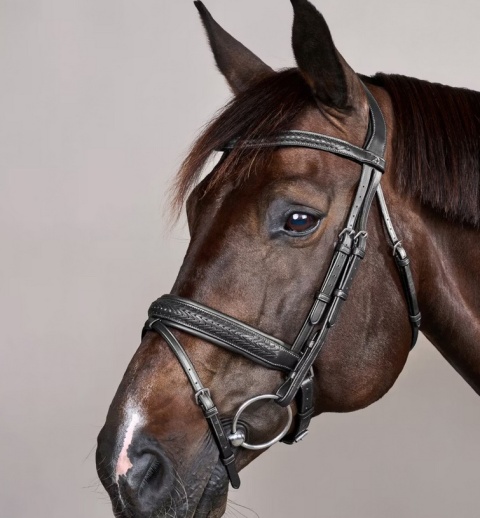 Ogłowie Dy'on z nachrapnikiem szwedzkim New English - pleciony naczółek