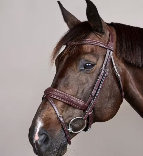 Ogłowie Dy'on z nachrapnikiem szwedzkim New English - pleciony naczółek