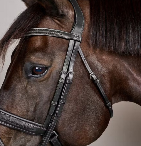 Ogłowie Dy'on z nachrapnikiem szwedzkim New English - pleciony naczółek