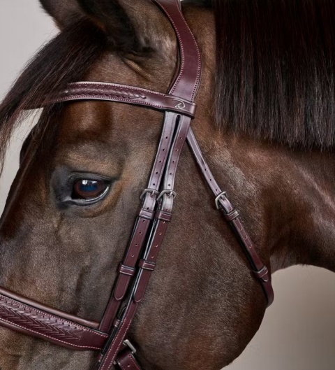 Ogłowie Dy'on z nachrapnikiem szwedzkim New English - pleciony naczółek