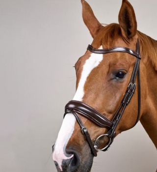 Ogłowie Dy'on z szerokim, matowym nachrapnikiem szwedzkim Working