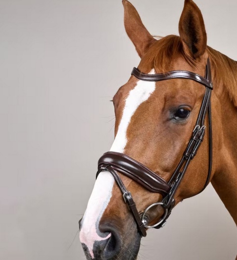 Ogłowie Dy'on z szerokim, matowym nachrapnikiem szwedzkim Working