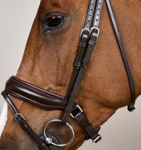 Ogłowie Dy'on z szerokim, matowym nachrapnikiem szwedzkim Working