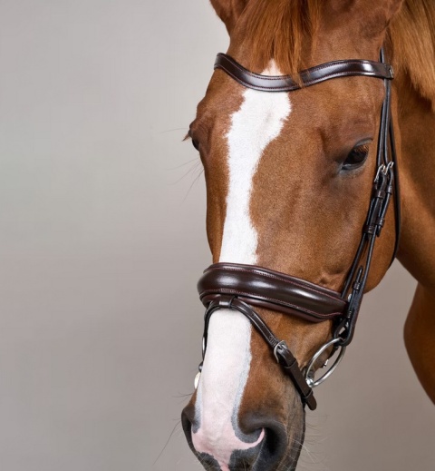 Ogłowie Dy'on z szerokim, matowym nachrapnikiem szwedzkim Working