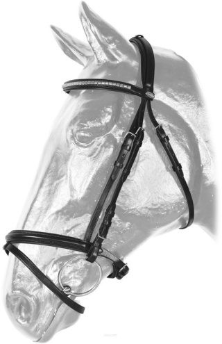 Ogłowie Kentaur Madison