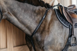 Skórzany,elastyczny napierśnik Dy'on Bridge Breastplate z plecionką New English