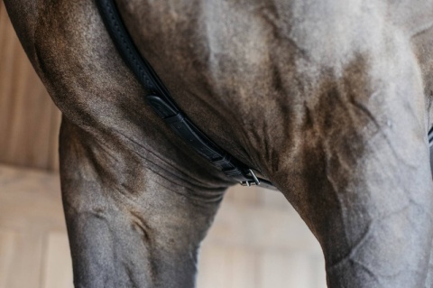 Skórzany,elastyczny napierśnik Dy'on Bridge Breastplate z plecionką New English