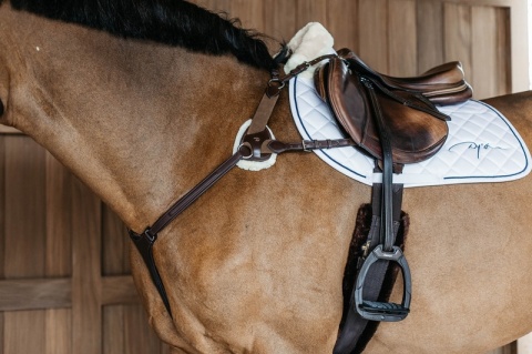 Skórzany napierśnik Dy'on 5-punktowy New English