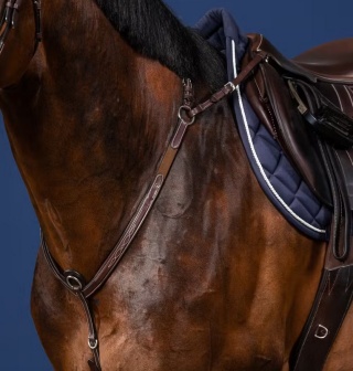 Skórzany napierśnik Dy'on Bridge Breastplate US Jumping