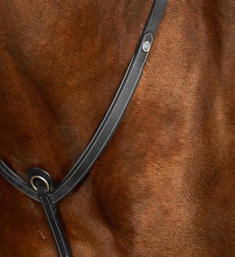 Skórzany napierśnik Dy'on Bridge Breastplate Working