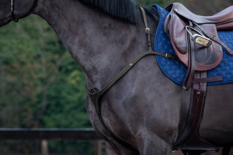 Skórzany napierśnik Dy'on Long Bridge Breastplate D Collection