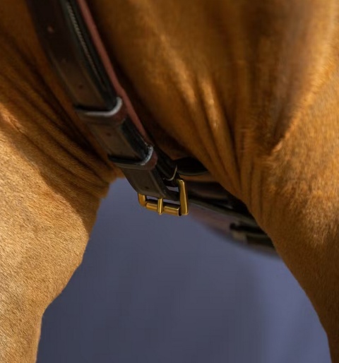 Skórzany napierśnik Dy'on Yoke D Collection