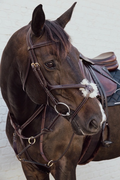 Skórzany napierśnik Dy'on z plecionką Bridge Breastplate D Collection