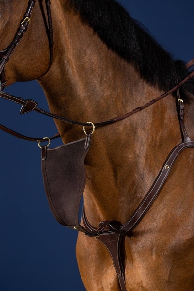 Wytok Dy'on Bib D Collection