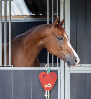 Zabawka zamszowa dla konia QHP - Jabłko