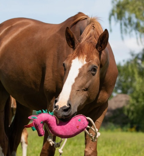 Zabawka zamszowa dla konia QHP - Jednorożec