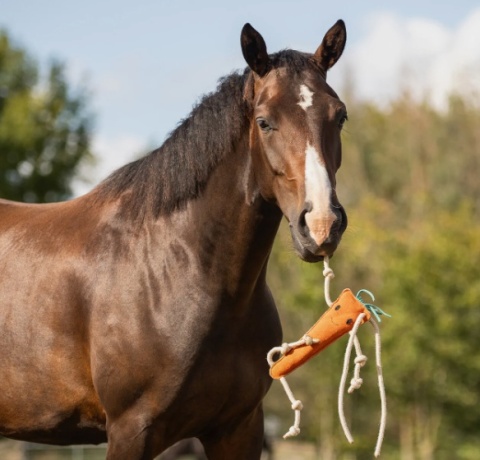 Zabawka zamszowa dla konia QHP - Marchewka