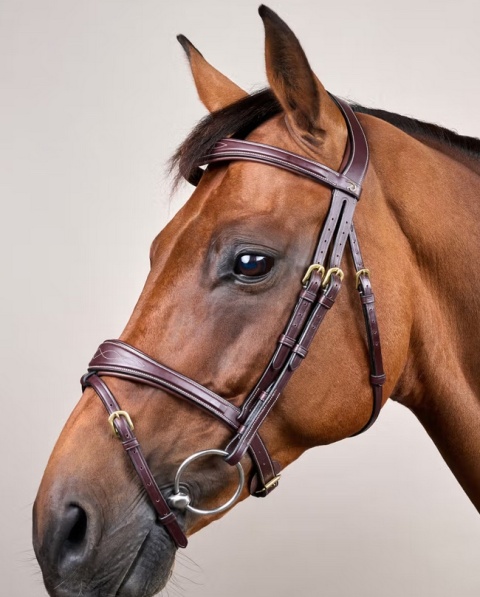 Anatomiczne ogłowie Dy'on z nachrapnikiem angielskim D Collection