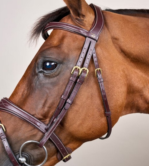 Anatomiczne ogłowie Dy'on z nachrapnikiem angielskim D Collection