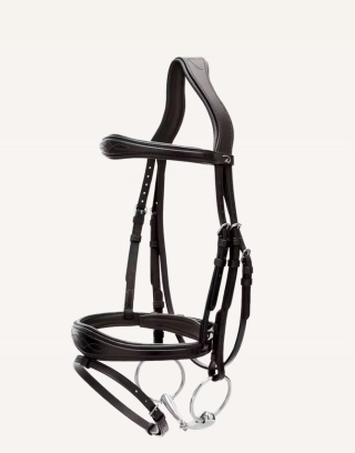 Anatomiczne ogłowie Dy'on z nachrapnikiem angielskim New English