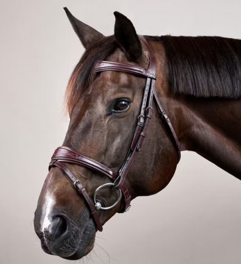 Anatomiczne ogłowie Dy'on z nachrapnikiem angielskim New English