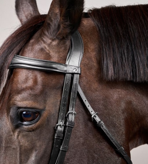 Anatomiczne ogłowie Dy'on z nachrapnikiem angielskim New English