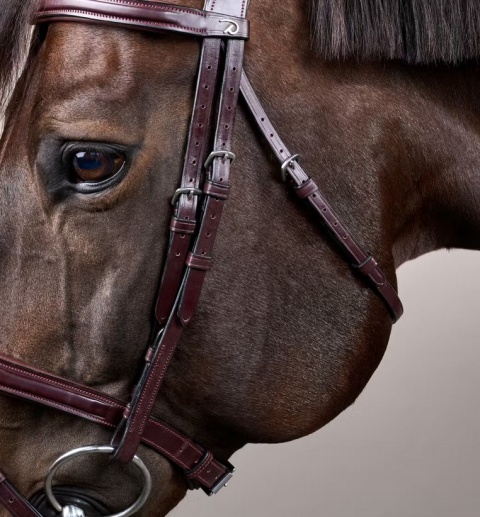 Anatomiczne ogłowie Dy'on z nachrapnikiem angielskim New English