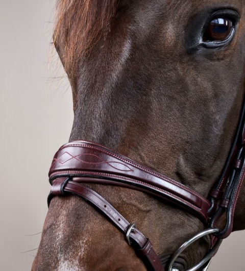 Anatomiczne ogłowie Dy'on z nachrapnikiem angielskim New English