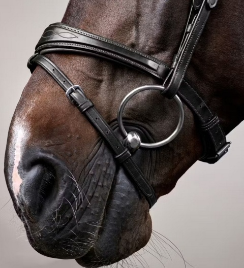 Anatomiczne ogłowie Dy'on z nachrapnikiem angielskim New English