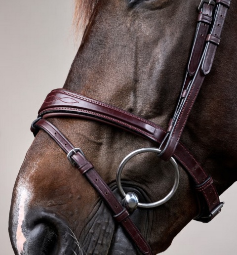 Anatomiczne ogłowie Dy'on z nachrapnikiem angielskim New English