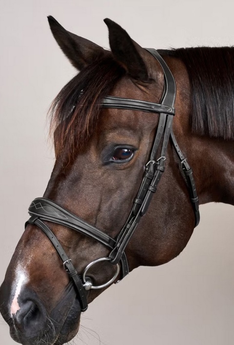 Anatomiczne ogłowie Dy'on z nachrapnikiem angielskim US Jumping