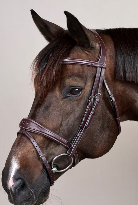 Anatomiczne ogłowie Dy'on z nachrapnikiem angielskim US Jumping