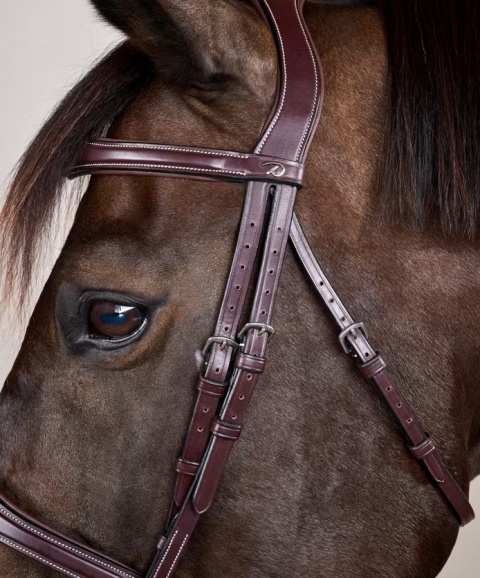 Anatomiczne ogłowie Dy'on z nachrapnikiem angielskim US Jumping