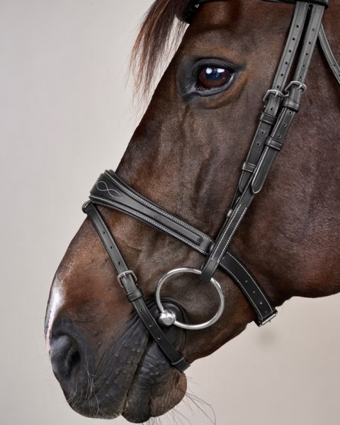 Anatomiczne ogłowie Dy'on z nachrapnikiem angielskim US Jumping