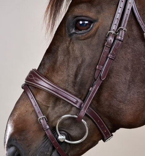 Anatomiczne ogłowie Dy'on z nachrapnikiem angielskim US Jumping