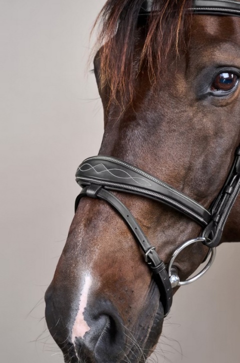 Anatomiczne ogłowie Dy'on z nachrapnikiem angielskim US Jumping