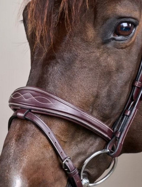 Anatomiczne ogłowie Dy'on z nachrapnikiem angielskim US Jumping