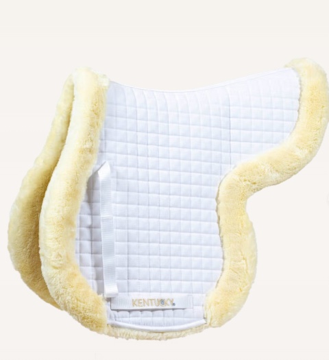 Czaprak skokowy Kentucky Hunter