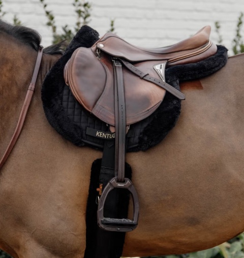 Czaprak skokowy Kentucky Hunter