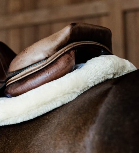 Czaprak skokowy Kentucky Hunter