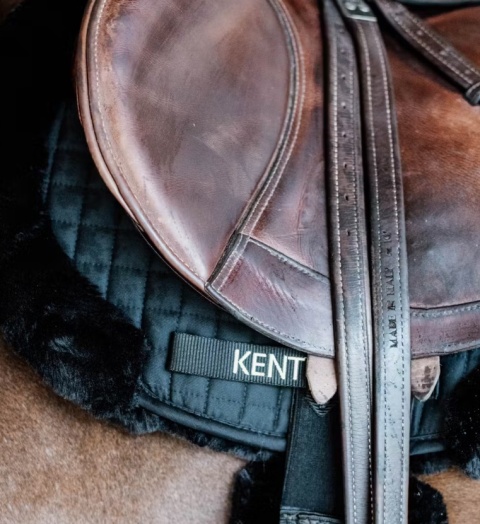 Czaprak skokowy Kentucky Hunter