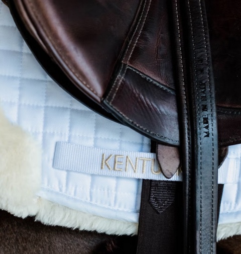 Czaprak skokowy Kentucky Hunter