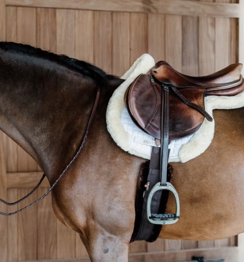 Czaprak skokowy Kentucky Hunter