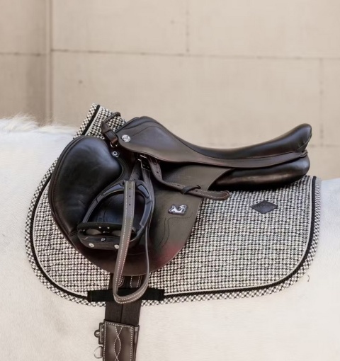 Czaprak skokowy Kentucky Pied de Poule