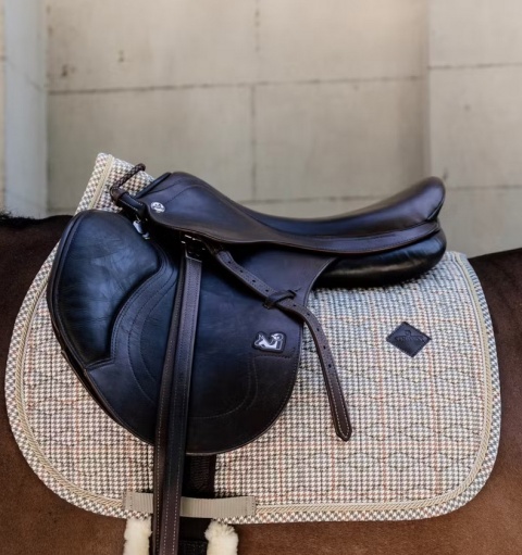 Czaprak skokowy Kentucky Pied de Poule