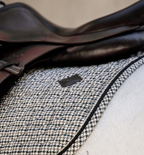 Czaprak skokowy Kentucky Pied de Poule