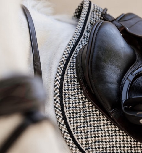 Czaprak skokowy Kentucky Pied de Poule