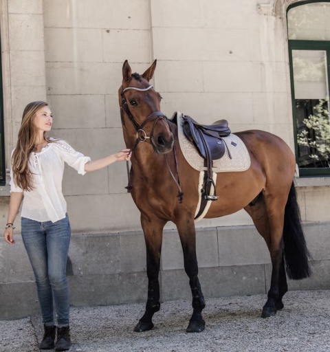 Czaprak skokowy Kentucky Pied de Poule