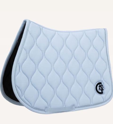 Czaprak skokowy Kentucky Wave