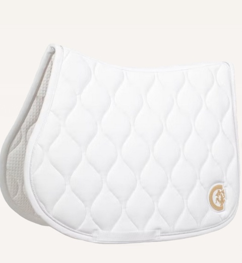 Czaprak skokowy Kentucky Wave